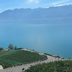 Room With 360° View Overlooking Lake Geneva And Alps Puidoux Exterior photo